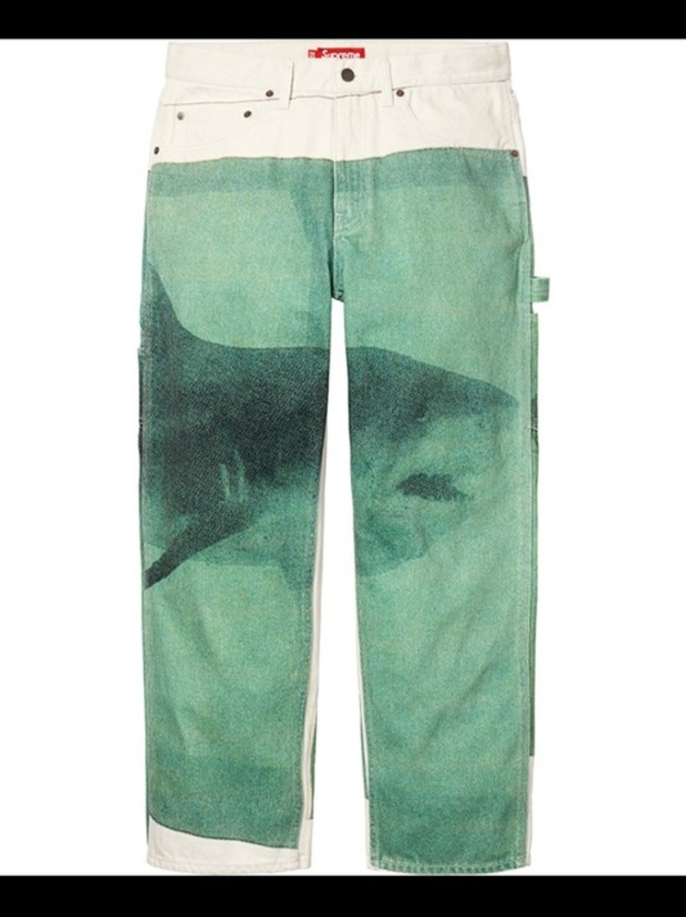 Supreme Green Shark Print Carpenter Pants
